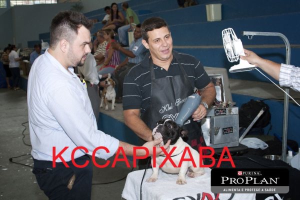 Clique sobre a foto para fechar